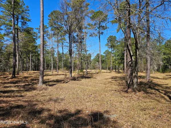 $95,000 | 32-33 Bailey Pointe Drive, Belhaven, NC 27810