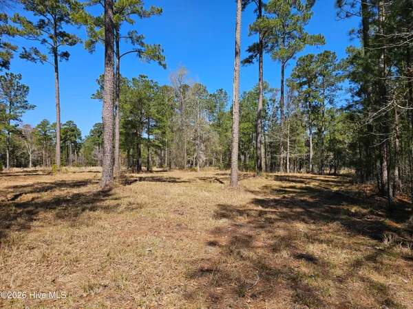 $95,000 | 32-33 Bailey Pointe Drive, Belhaven, NC 27810