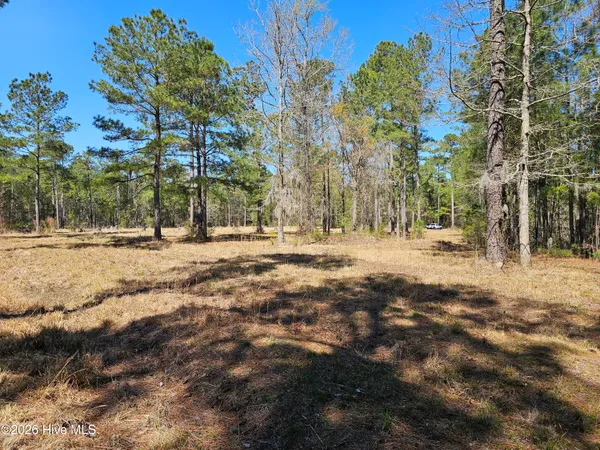 $95,000 | 32-33 Bailey Pointe Drive, Belhaven, NC 27810