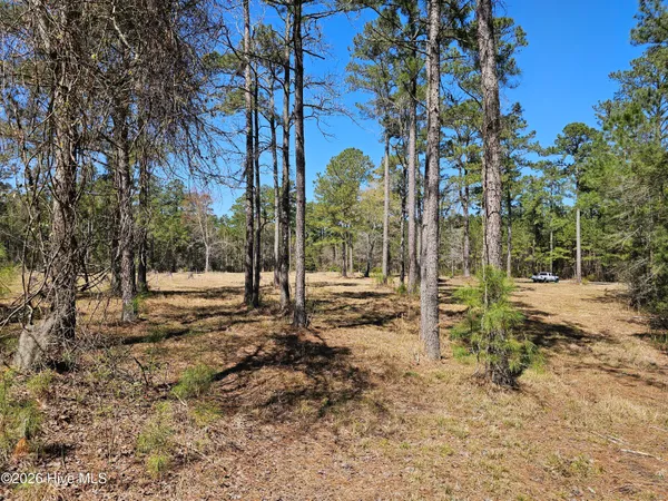 $95,000 | 32-33 Bailey Pointe Drive, Belhaven, NC 27810