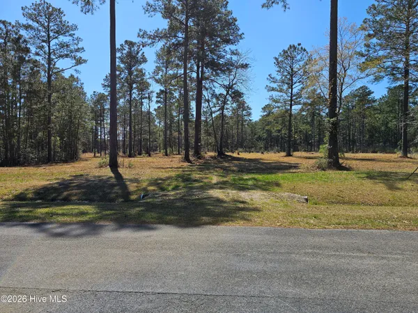 $95,000 | 32-33 Bailey Pointe Drive, Belhaven, NC 27810