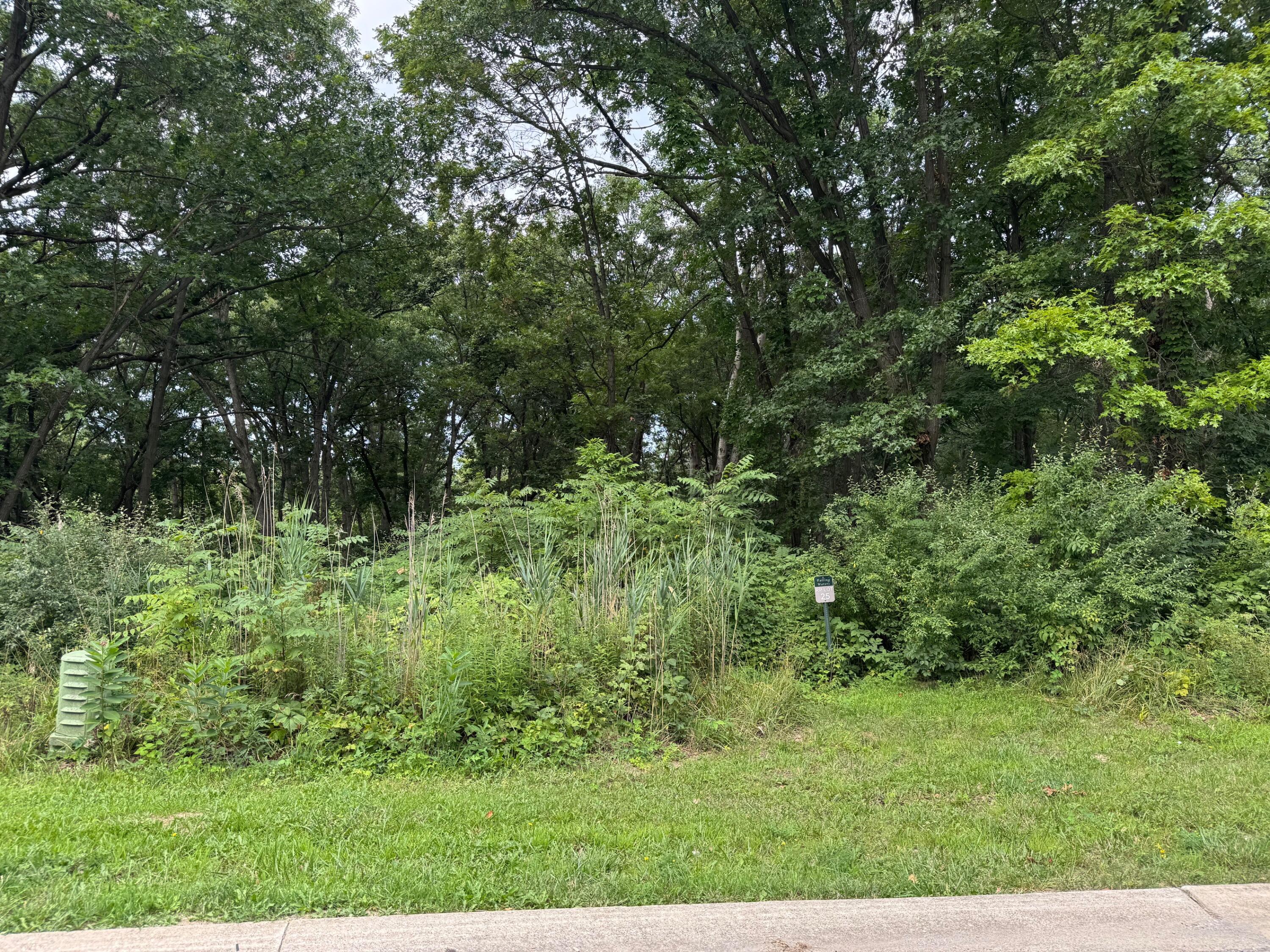 a view of backyard with green space
