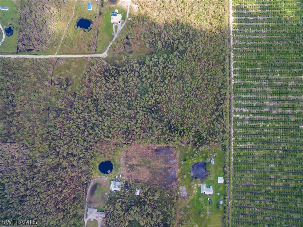 18350 Three B Farm Road Estero, FL 33928 - Photo 12 of 17 Gallery Image 12