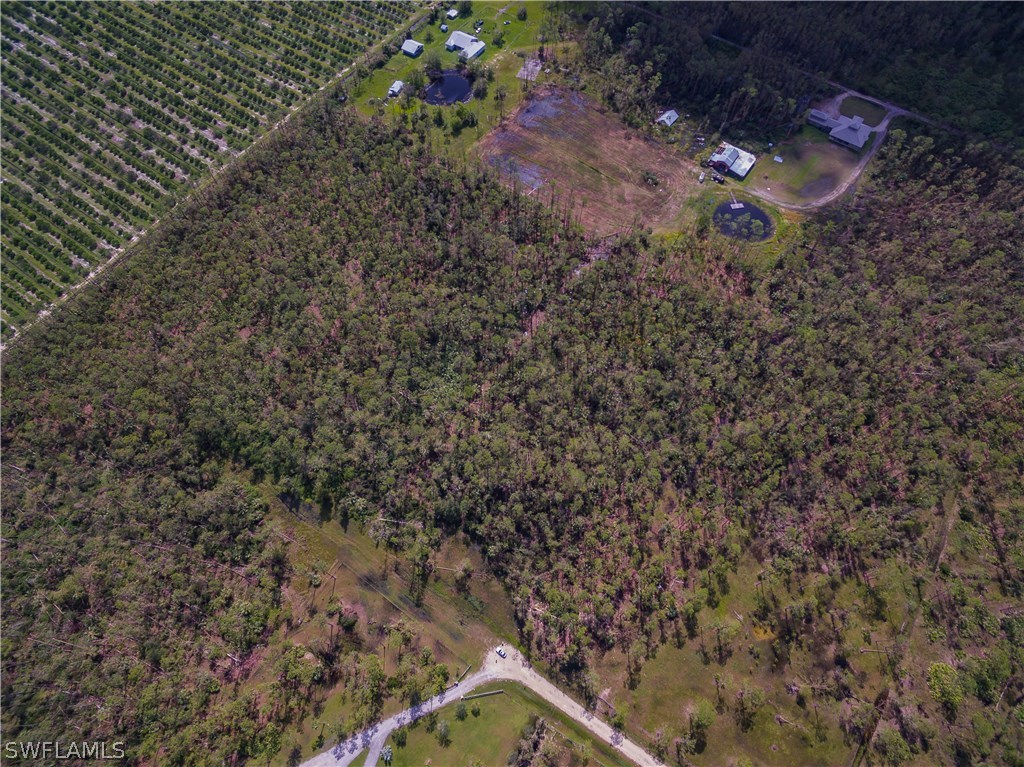 18350 Three B Farm Road Estero, FL 33928 - Photo 4 of 17 Gallery Image 4