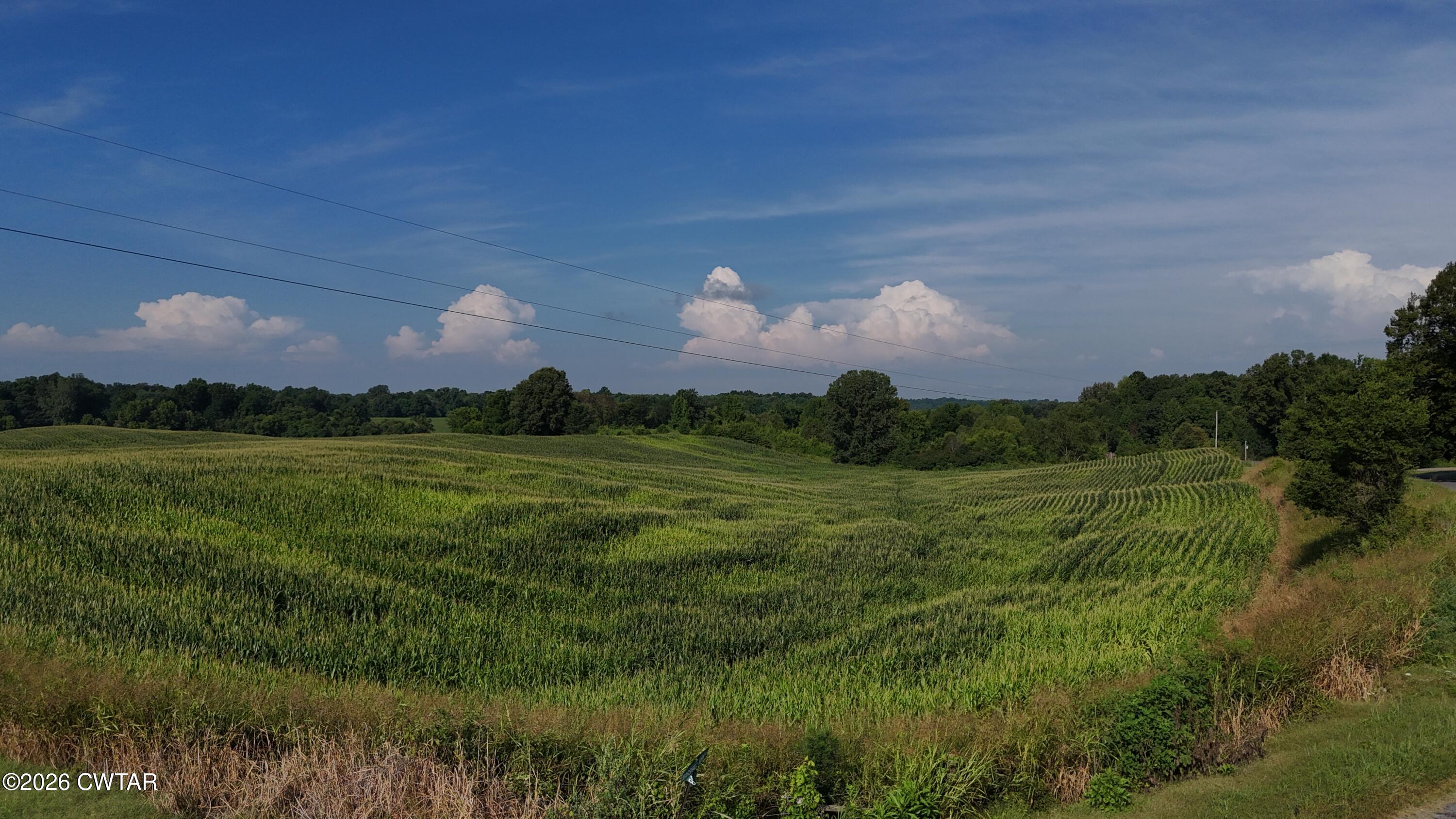 1936 Marshall Kirk Road Troy, TN 38260 - Photo 24 of 30 dji_fly_20250525_004130_0279_17843207023