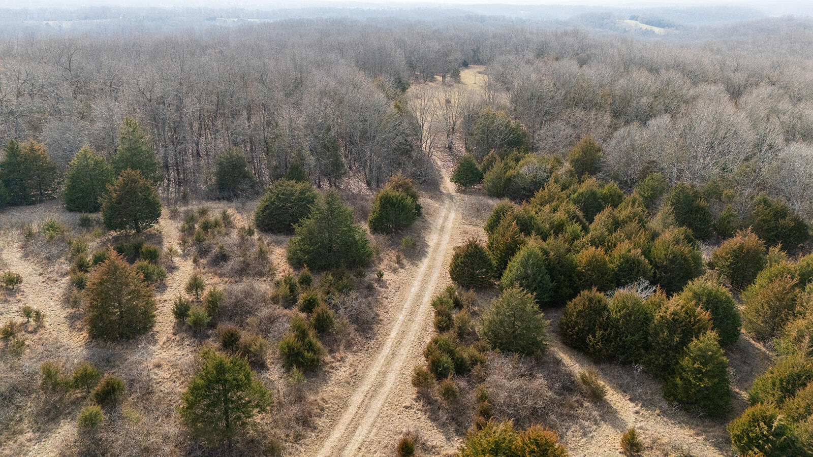 0 Abadyl Road Fordland, MO 65652 - Photo 4 of 25 DJI_20260303153233_0032_D