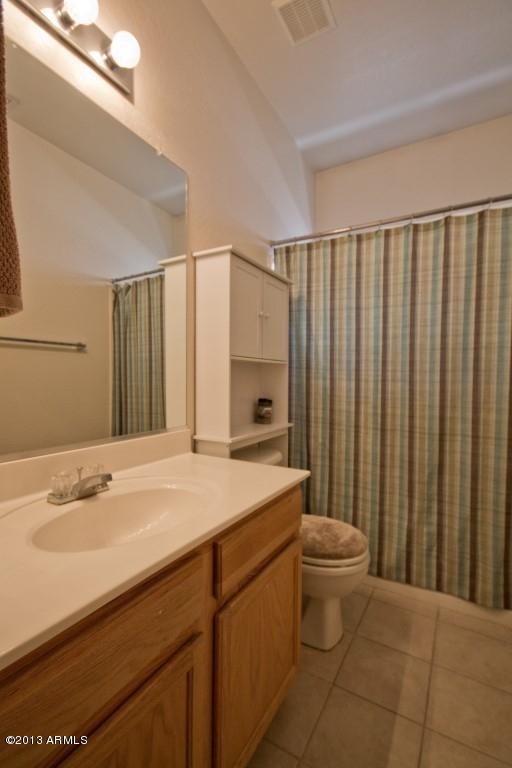 13010 West Charter Oak Road El Mirage, AZ 85335 - Photo 13 of 24 Hall Bathroom