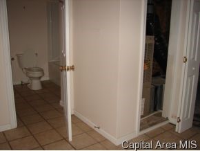 2629 South 11th Street Springfield, IL 62703 - Photo 11 of 12 Gallery Image 11