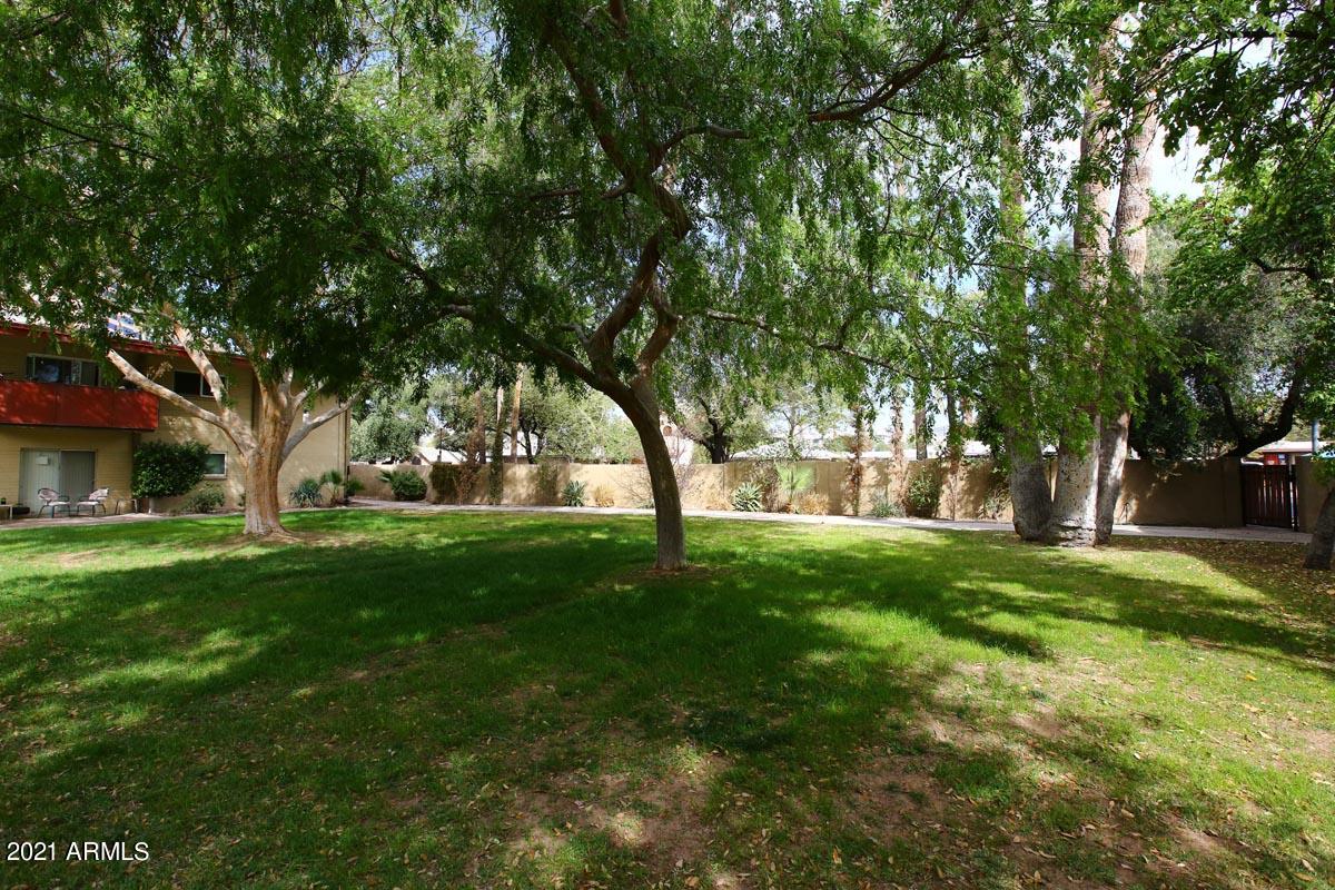 353 East Thomas Road, Unit C406 Phoenix, AZ 85012 - Photo 19 of 31 Common Area