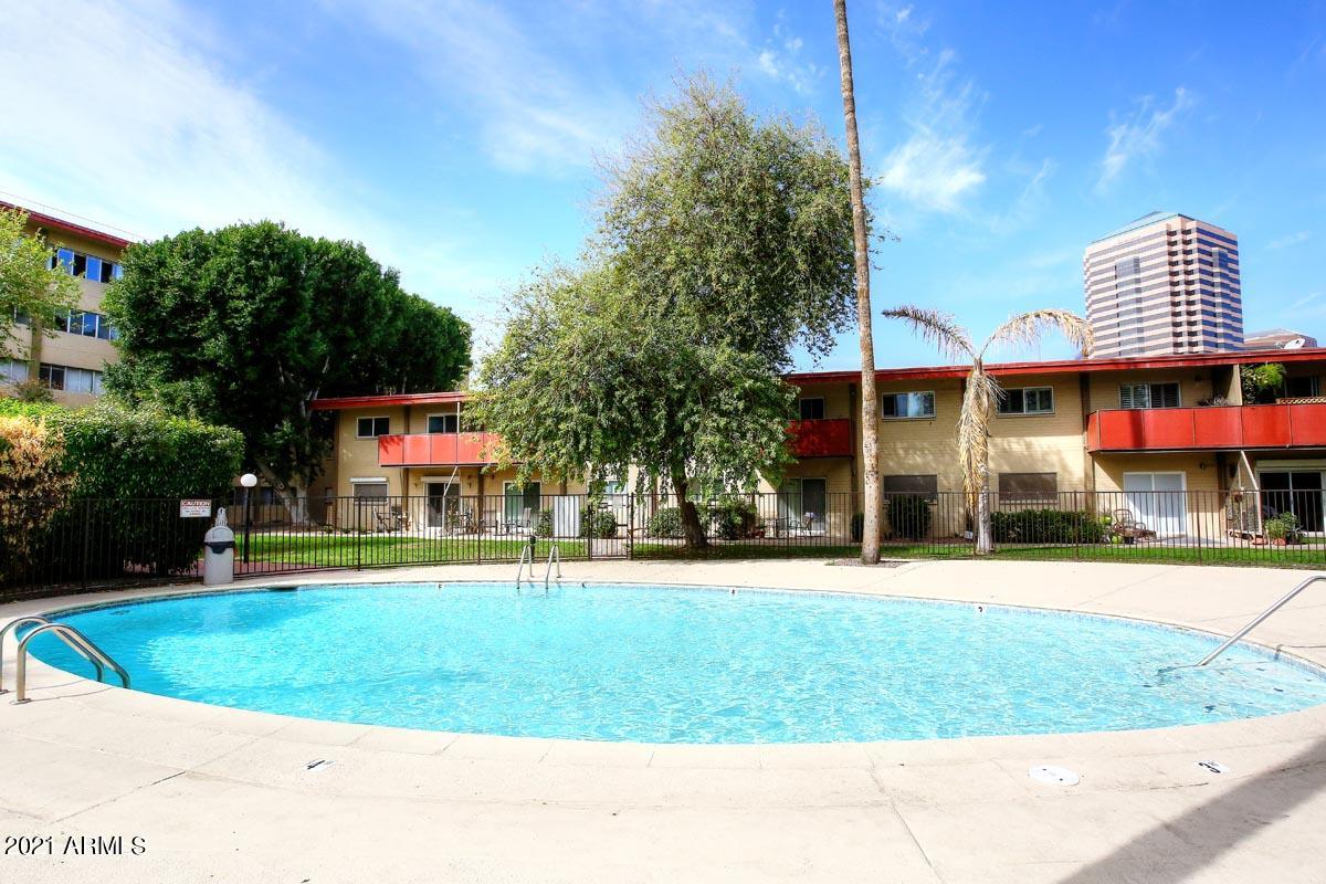 353 East Thomas Road, Unit C406 Phoenix, AZ 85012 - Photo 22 of 31 Community Pool2