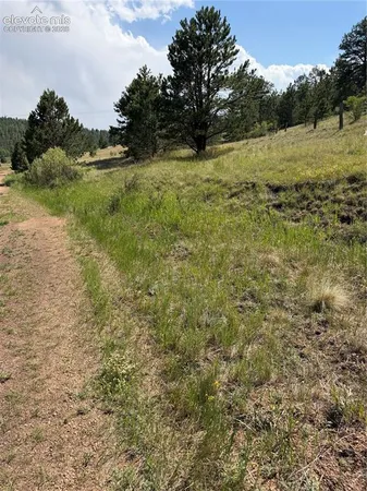$160,000 | 39 Rabbil Creek Drive, Florissant, CO 80816