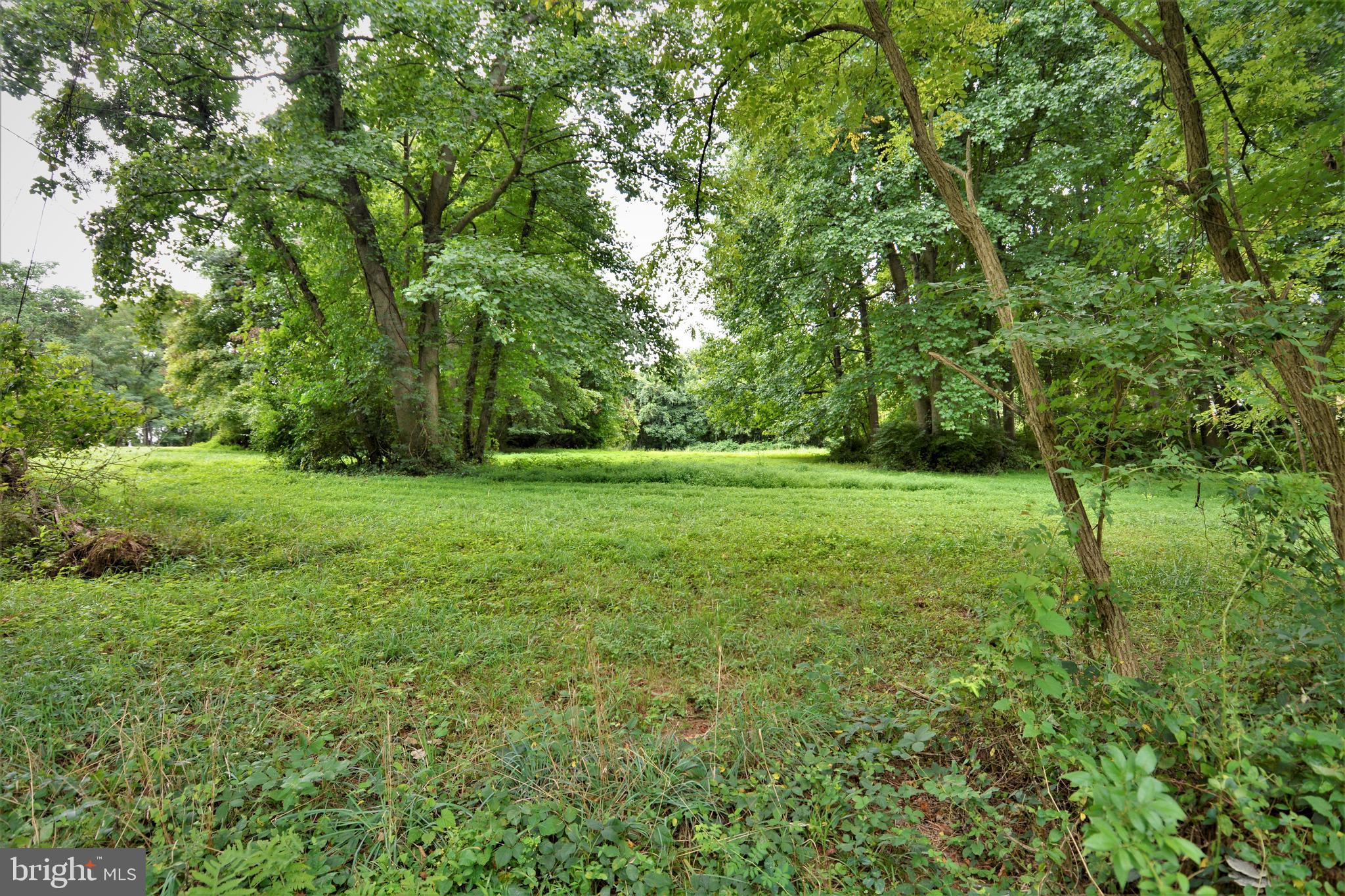 Level, partially wooded & backs to trees!