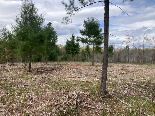 $66,930 | Lot 3 Surely Drive, Siren, WI 54872