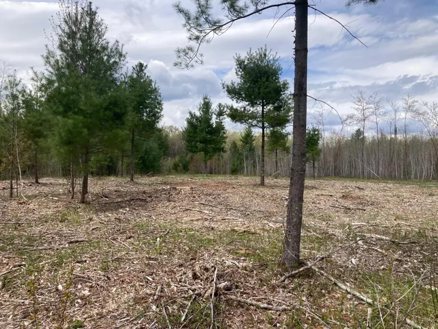 $66,930 | Lot 3 Surely Drive, Siren, WI 54872