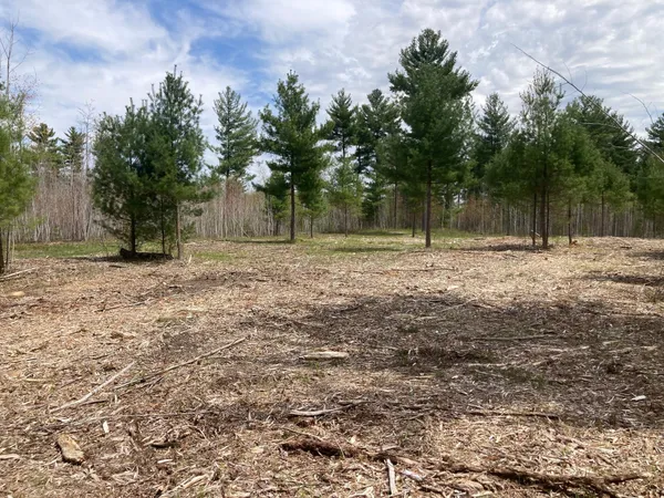 $66,930 | Lot 3 Surely Drive, Siren, WI 54872