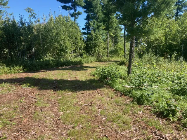 $66,930 | Lot 3 Surely Drive, Siren, WI 54872