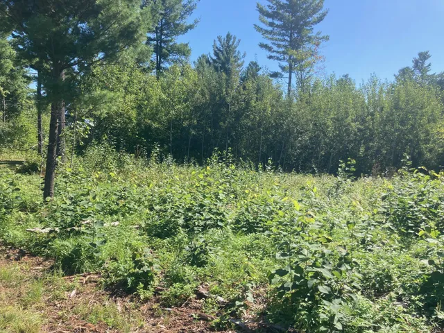 $66,930 | Lot 3 Surely Drive, Siren, WI 54872