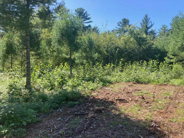 $66,930 | Lot 3 Surely Drive, Siren, WI 54872