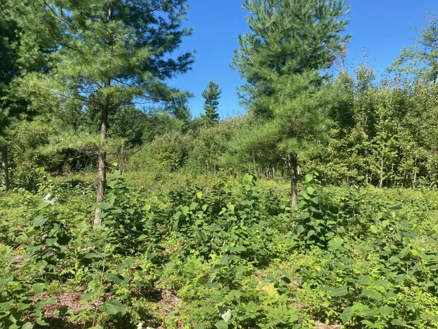 $66,930 | Lot 3 Surely Drive, Siren, WI 54872