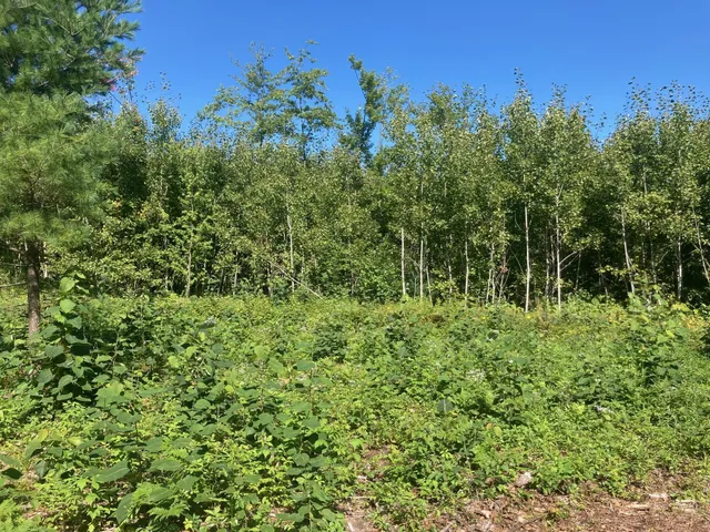 $66,930 | Lot 3 Surely Drive, Siren, WI 54872