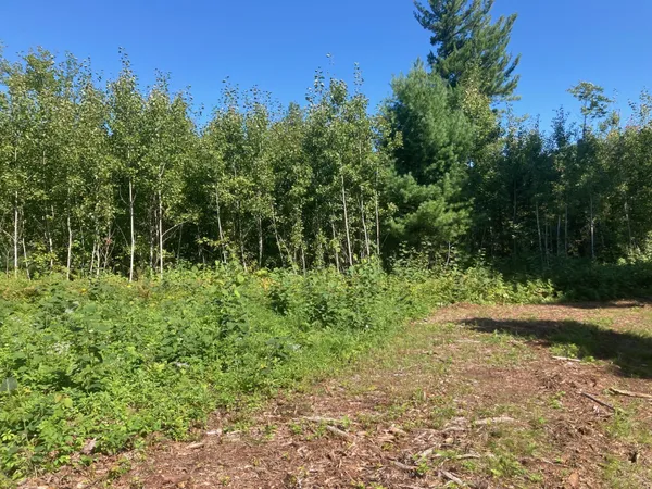 $66,930 | Lot 3 Surely Drive, Siren, WI 54872