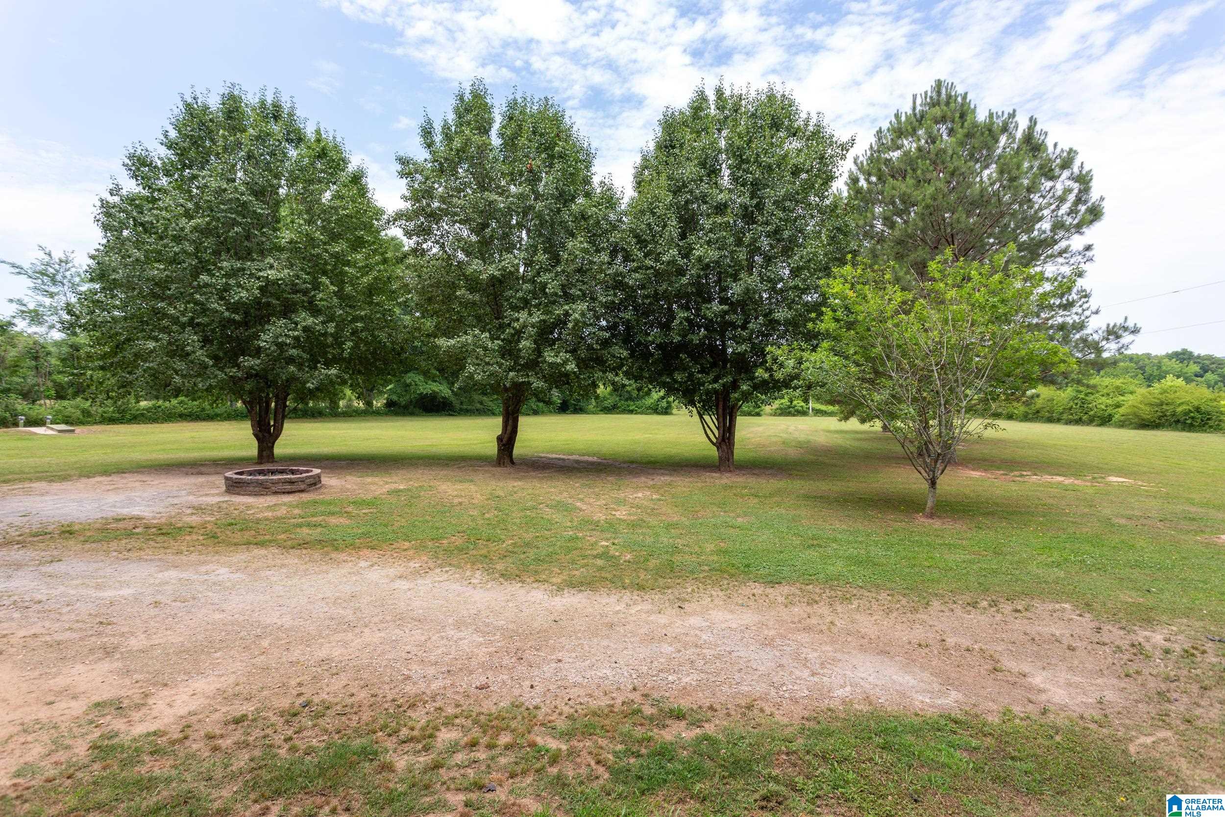 544 Fann Road Steele, AL 35987 - Photo 48 of 84