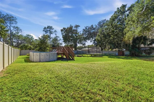 a view of a park with large trees