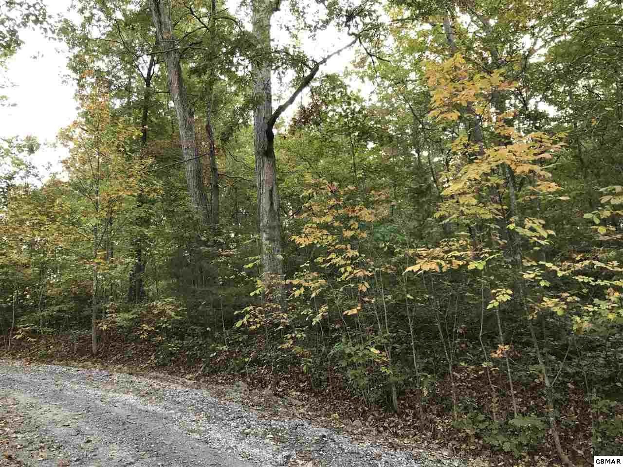 11 Johnson Road Kodak, TN 37764 - Photo 1 of 4