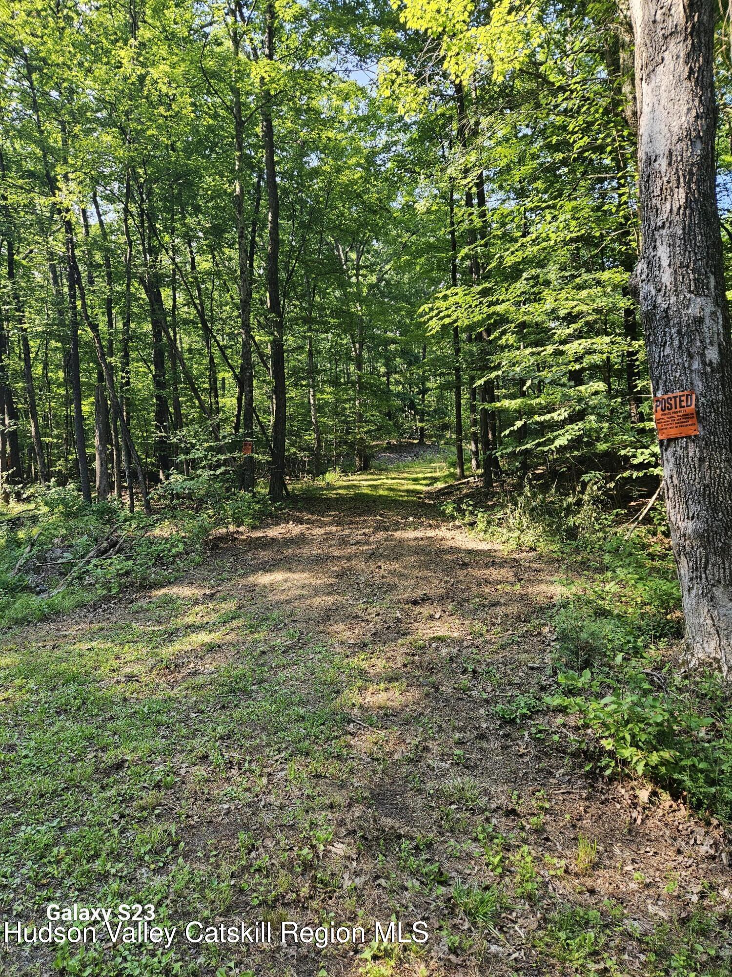 0 Hearts Content Road Catskill, NY 12414 - Photo 20 of 21 20260711_165218