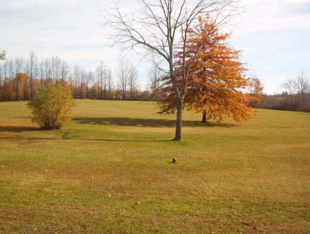144 Ostrander Road Wright, NY 12053 - Photo 3 of 6 Photo 3