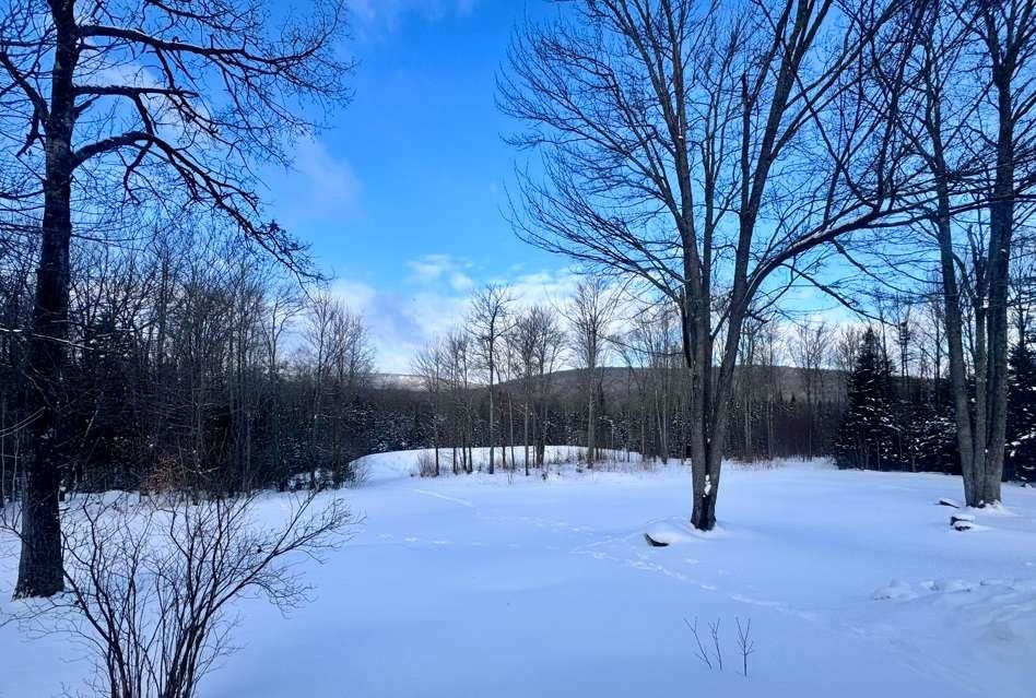 1960 Hardwood Flats Road Elmore, VT 05680 - Photo 6 of 20