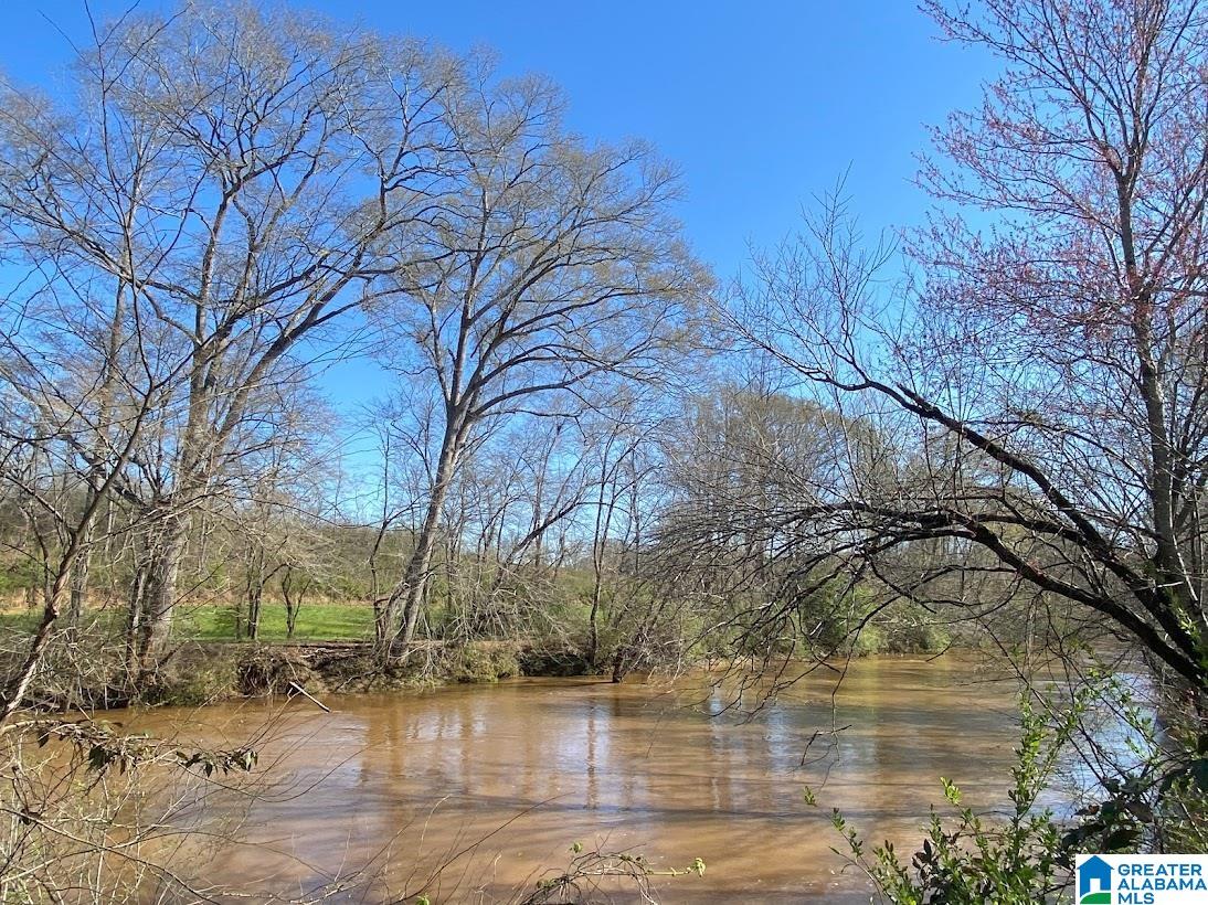 0 State Line Road Graham, AL 36263 - Photo 2 of 8