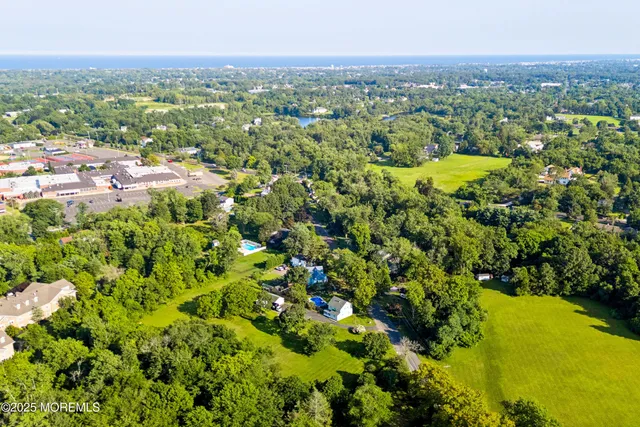 a view of a bunch of flowers