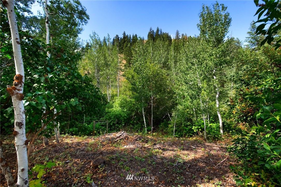 26 Davis Lake Road Winthrop, WA 98862 - Photo 7 of 37 Gallery Image 7
