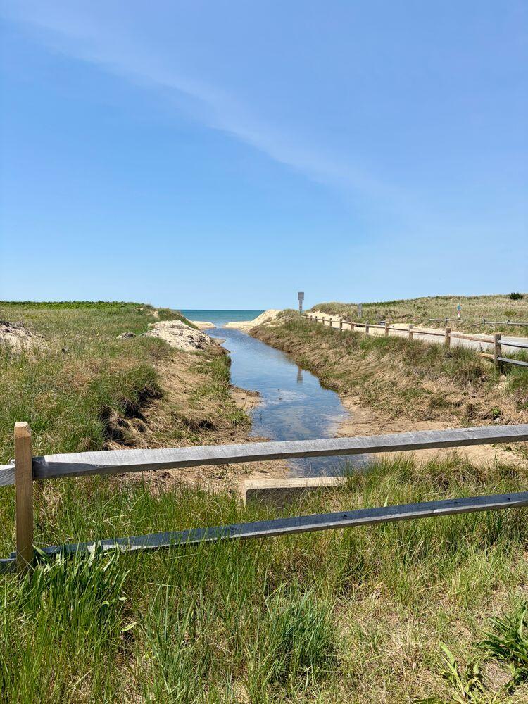 65 Pilgrims Path Eastham, MA 02642 - Photo 49 of 55 750x1000 (5)