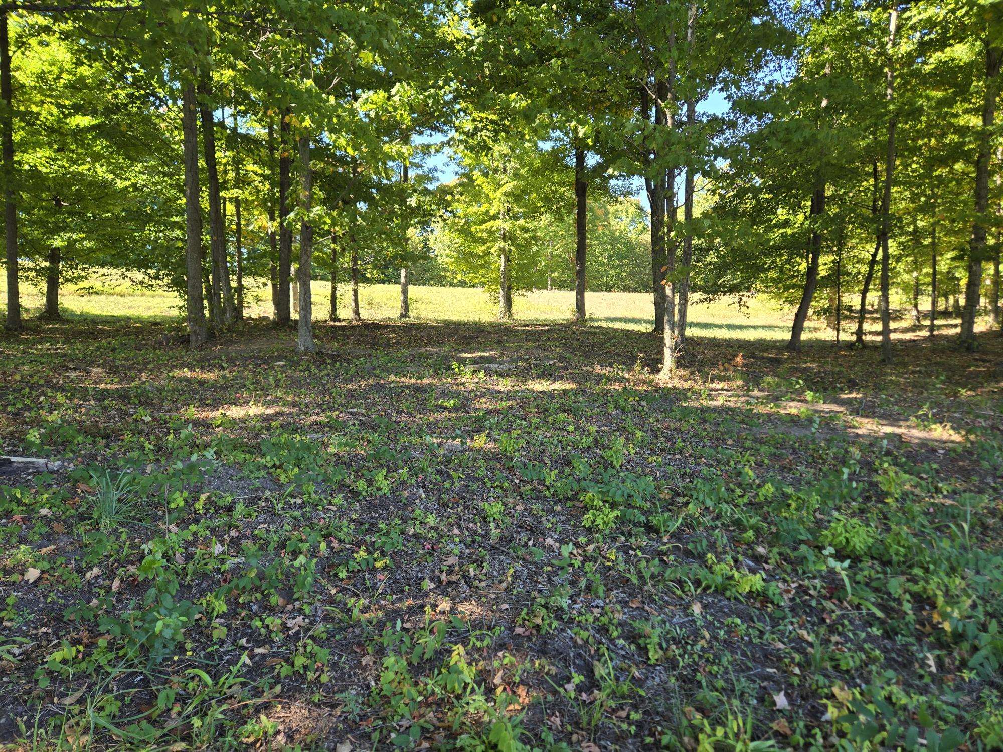 20 Heather Ridge Trail Beulah, MI 49617 - Photo 4 of 11