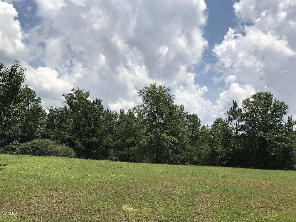9116 Cleo Smith Road Pass Christian, MS 39571 - Photo 13 of 21 Land