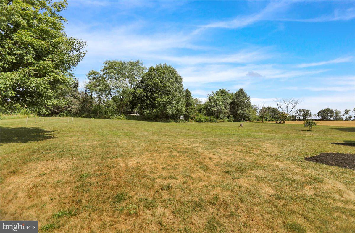 549 Stone Road Mohrsville, PA 19541 - Photo 20 of 21 Side yard