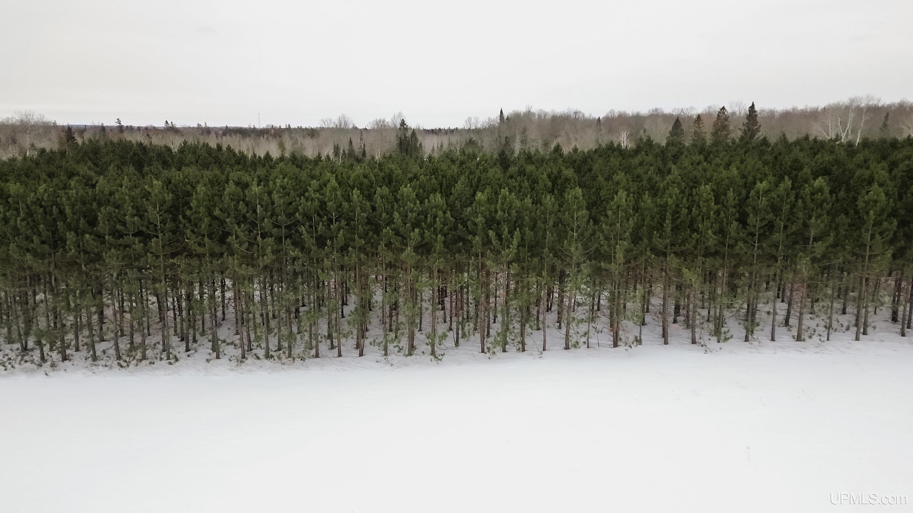 Tbd East Osier 40th Road Rapid River, MI 49878 - Photo 3 of 14
