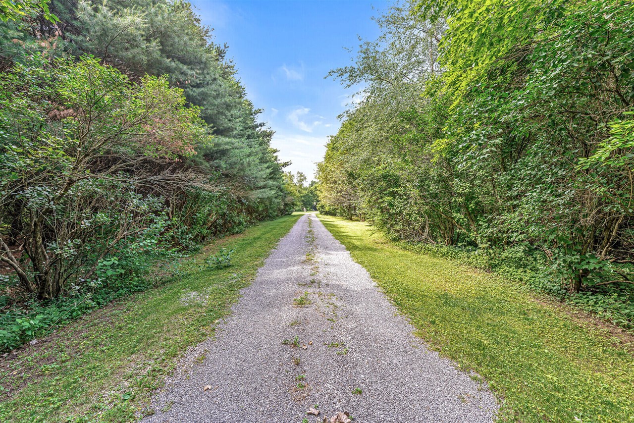12033 Shavehead Lake Road Jones, MI 49061 - Photo 11 of 78