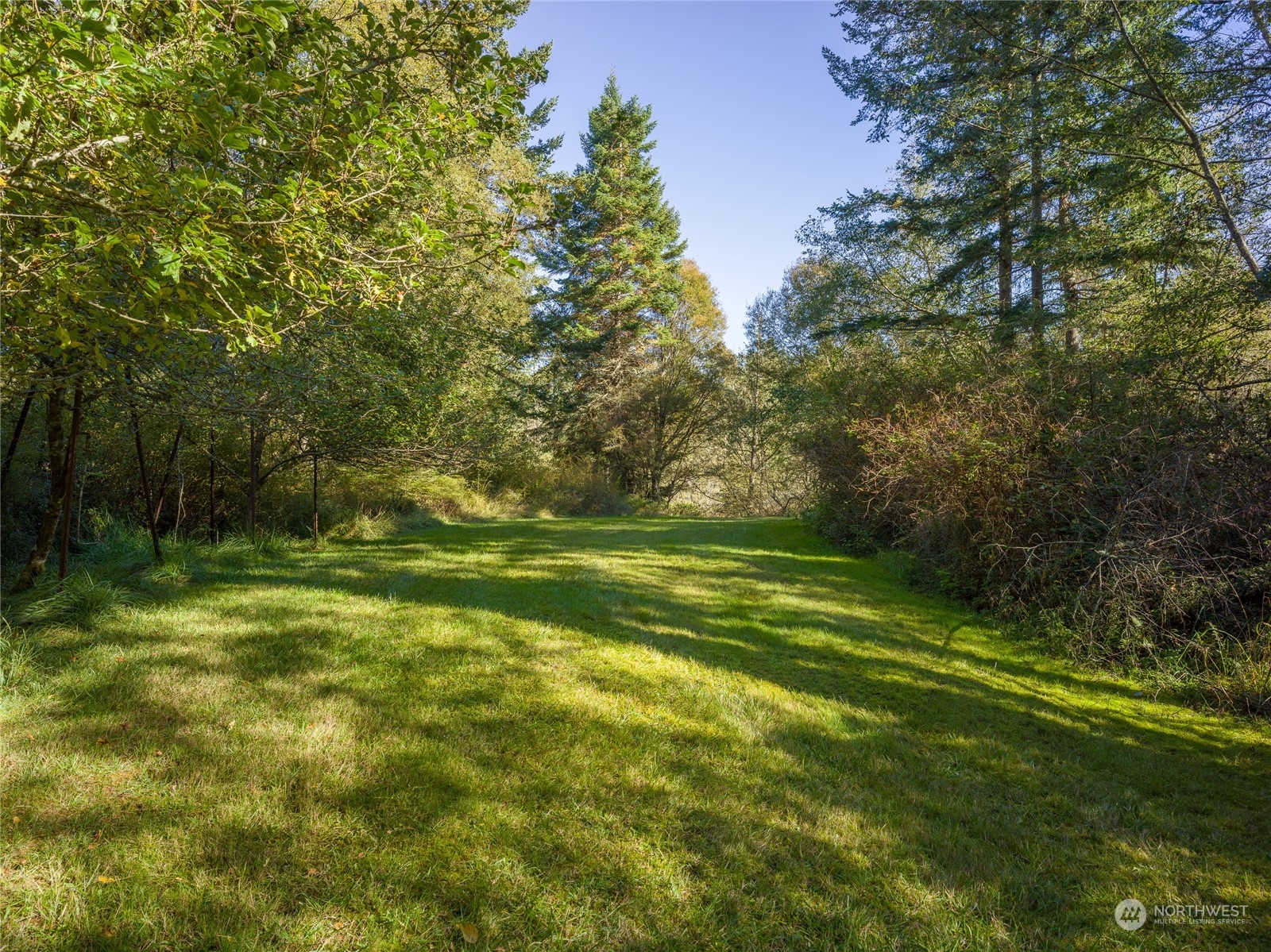 165 Sunrise Road Lopez Island, WA 98261 - Photo 11 of 12 a view of a grassy field with trees