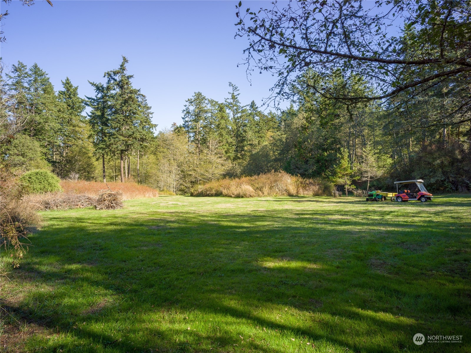 165 Sunrise Road Lopez Island, WA 98261 - Photo 12 of 12 a fire hydrant in the middle of a field