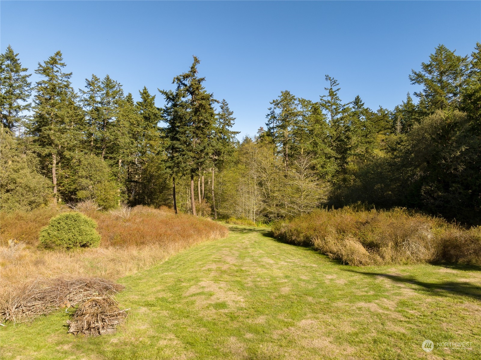 165 Sunrise Road Lopez Island, WA 98261 - Photo 4 of 12