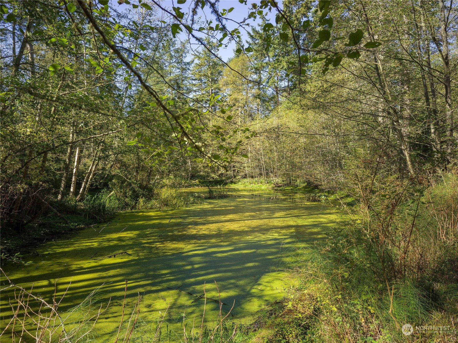 165 Sunrise Road Lopez Island, WA 98261 - Photo 7 of 12