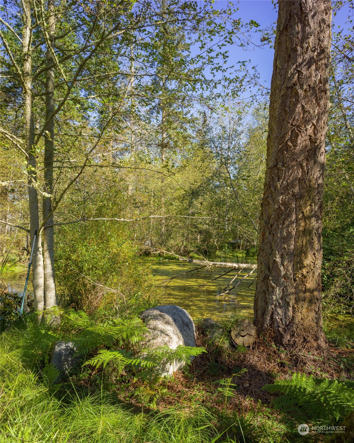 165 Sunrise Road Lopez Island, WA 98261 - Photo 9 of 12 a view of a pathway both side of river