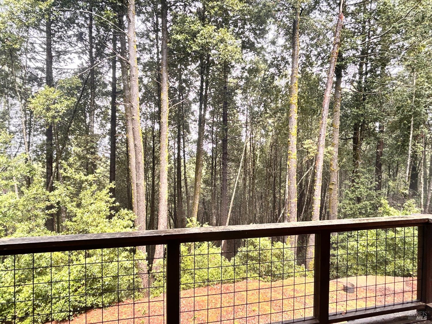 29281 Timberline Road Willits, CA 95490 - Photo 26 of 38 a view of a forest