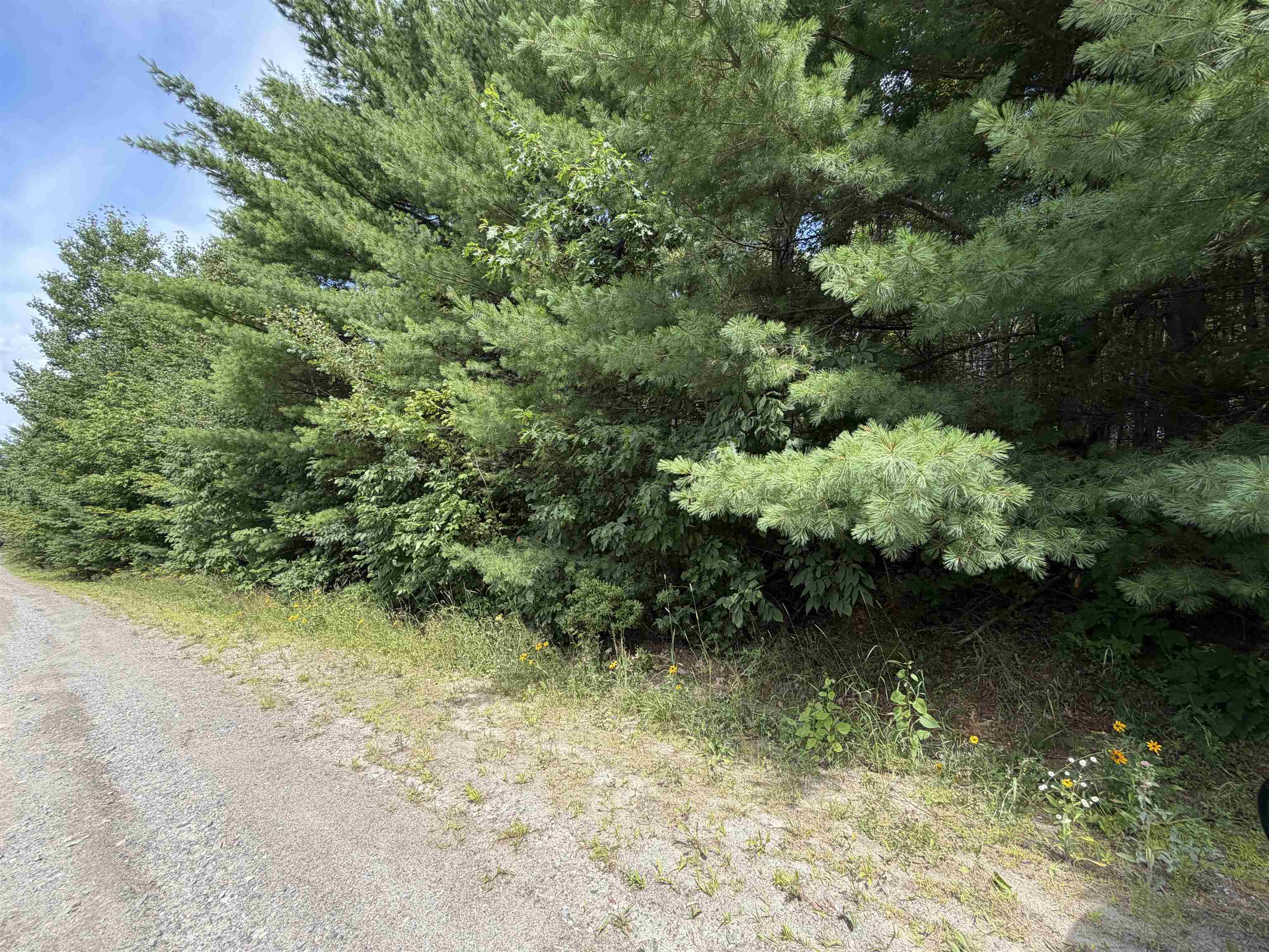 0 Osgood Farm Road Littleton, NH 03561 - Photo 44 of 58 Gallery Image 44