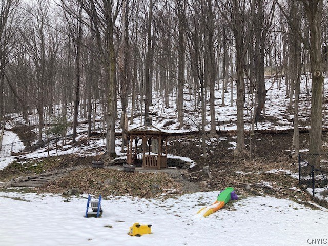 403 Standish Drive DeWitt, NY 13224 - Photo 2 of 40