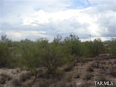 0 North Blue Bonnet Road Tucson, AZ 85742 - Photo 7 of 12