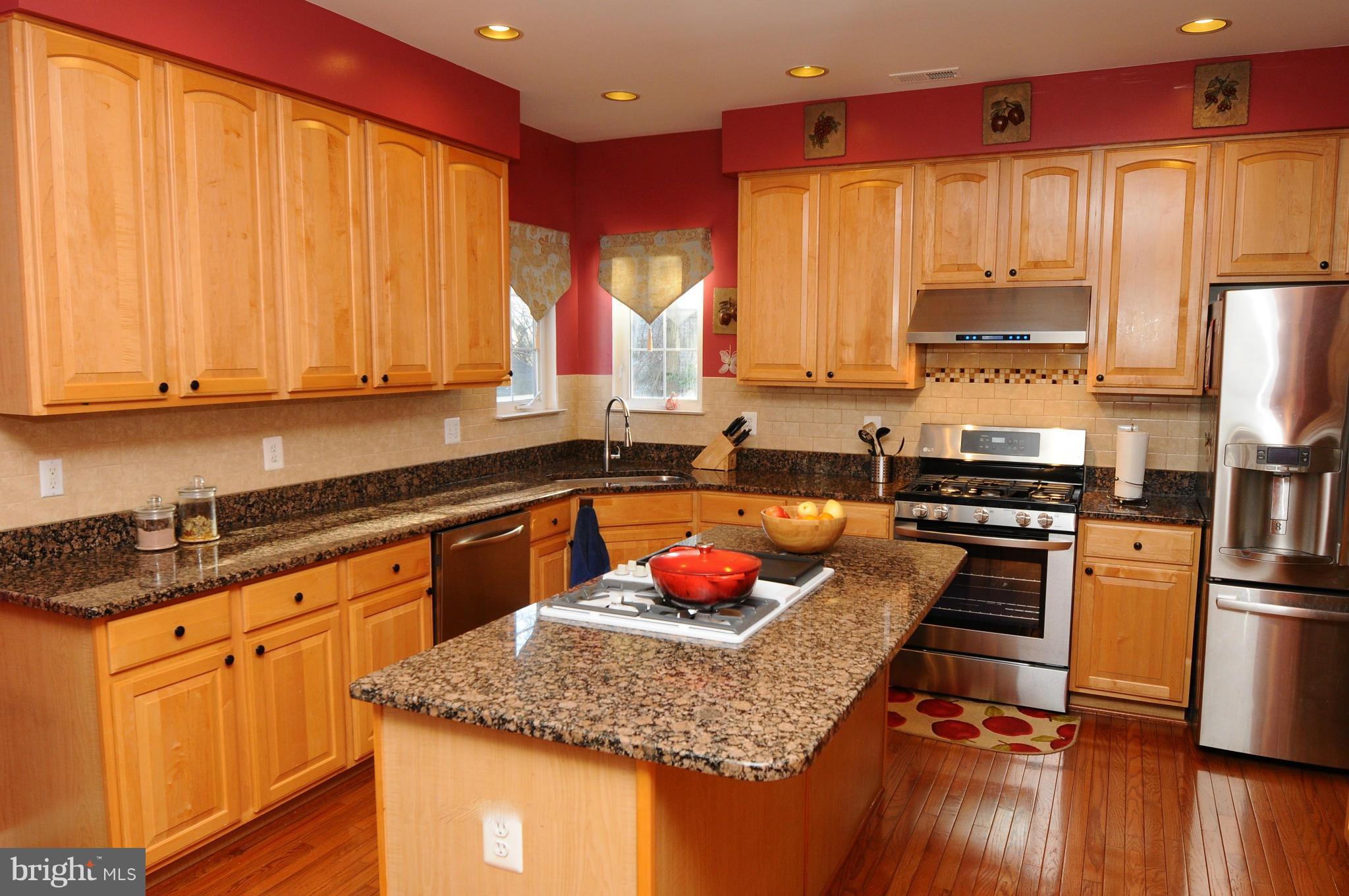 47647 Rhyolite Place Sterling, VA 20165 - Photo 2 of 20 Kitchen
